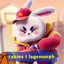 rabies t lagomorph