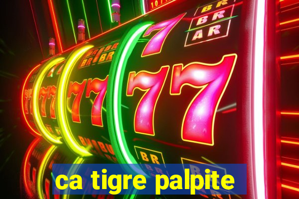 ca tigre palpite