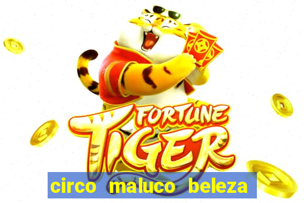 circo maluco beleza recife circo maluco