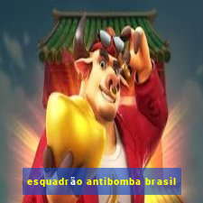 esquadrão antibomba brasil