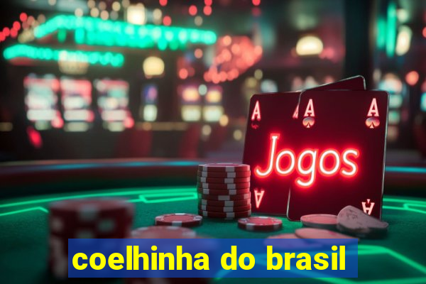 coelhinha do brasil