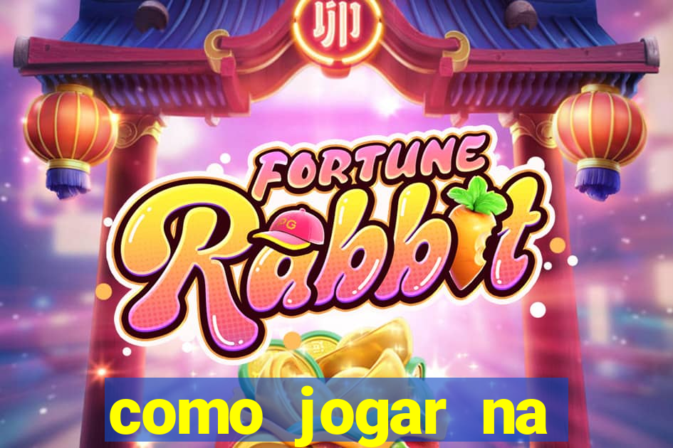 como jogar na lotinha do jogo do bicho