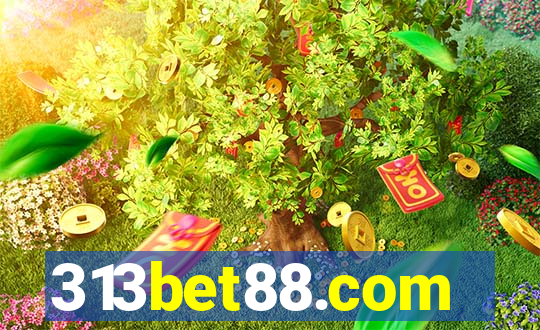 313bet88.com