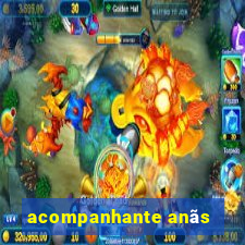 acompanhante anãs