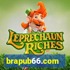 brapub66.com